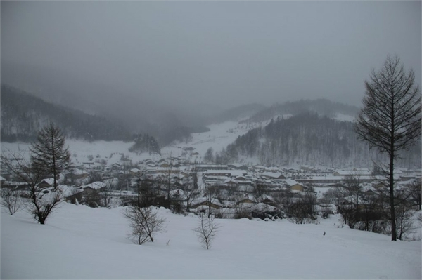 雪谷,雪乡,哈尔滨冰雪大世界,索菲亚教堂,哈尔滨中央大街步行街图片