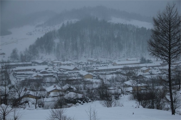 雪谷,雪乡,哈尔滨冰雪大世界,索菲亚教堂,哈尔滨中央大街步行街自助游图片