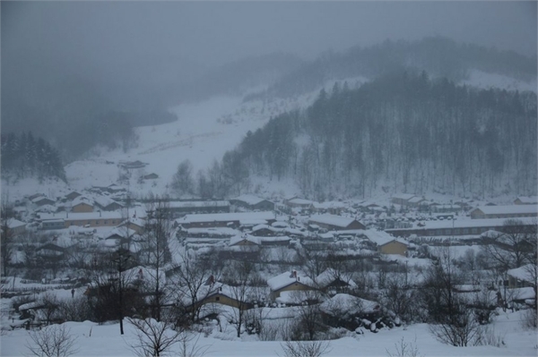 雪谷,雪乡,哈尔滨冰雪大世界,索菲亚教堂,哈尔滨中央大街步行街旅游攻略图片