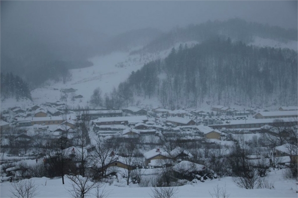 雪谷,雪乡,哈尔滨冰雪大世界,索菲亚教堂,哈尔滨中央大街步行街图片