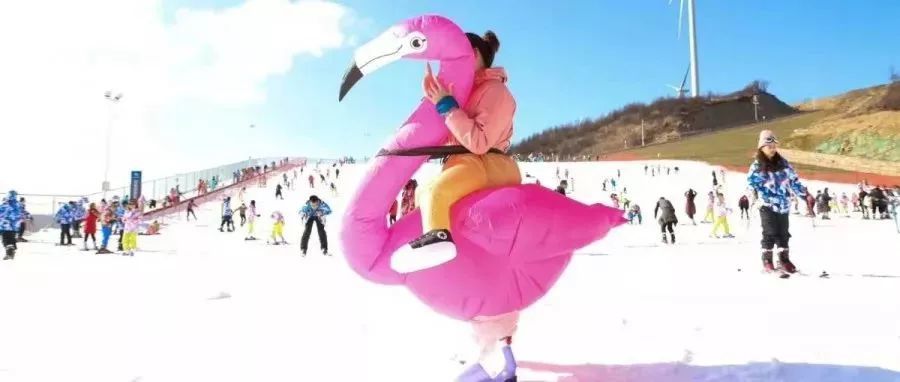 【武汉起止】华中最美滑雪场—五峰国际滑雪场 徒步中国十大最美茶园