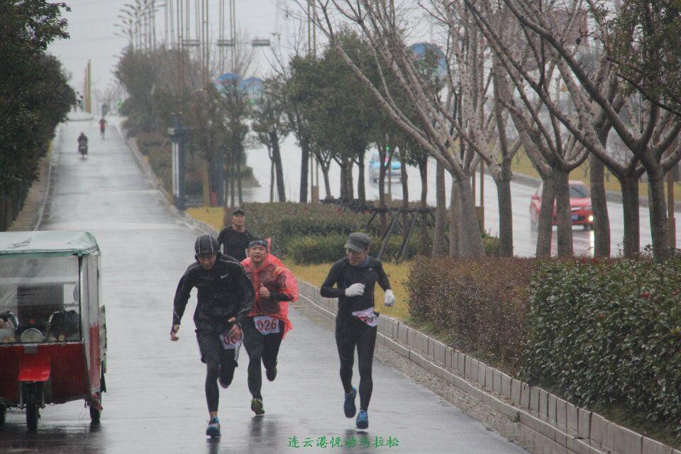 QQ图片20170113103059