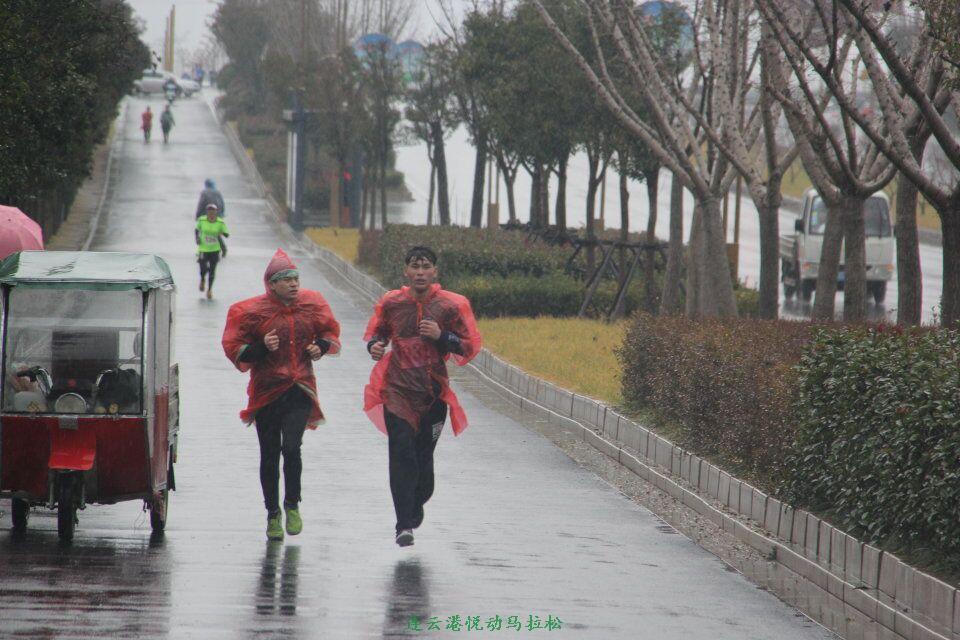 QQ图片20170113103120