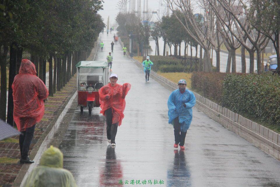 QQ图片20170113103230