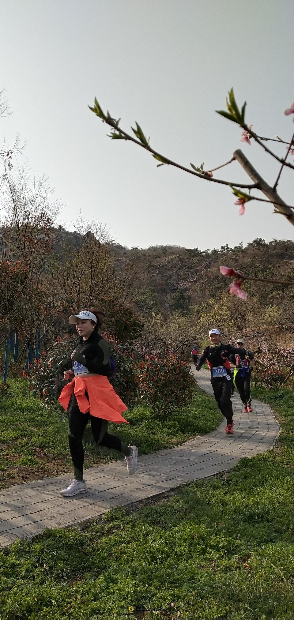 微信图片_20230327172601