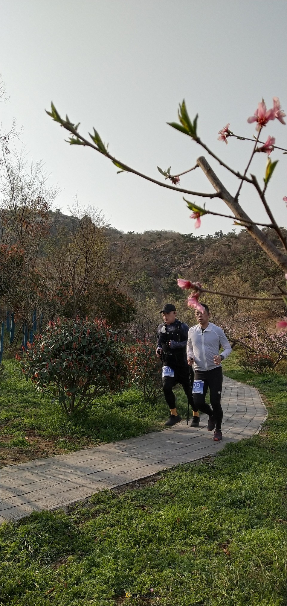 微信图片_20230327172621