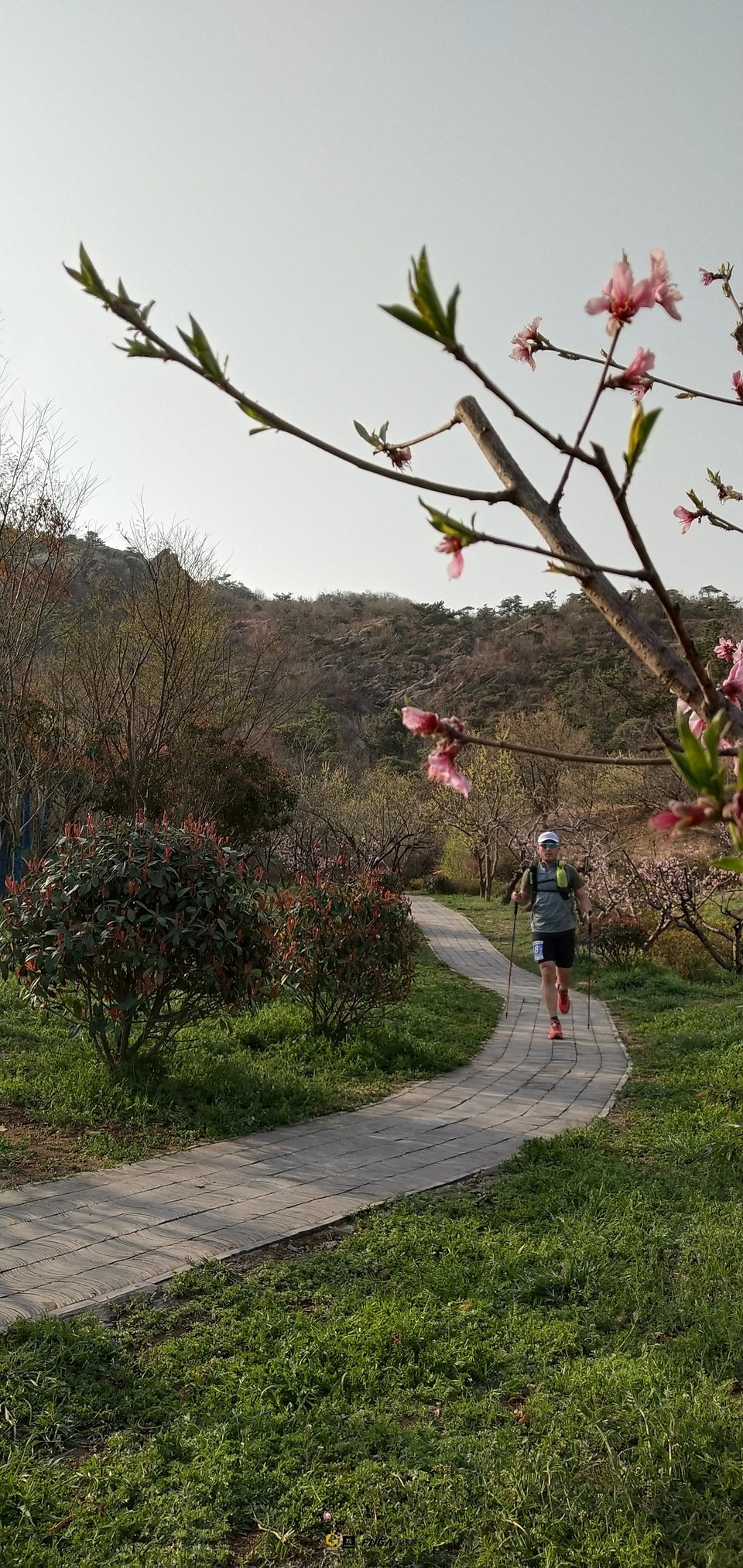 微信图片_20230327172639