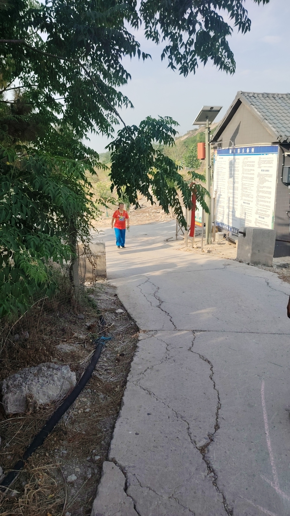 mmexport1717896458931