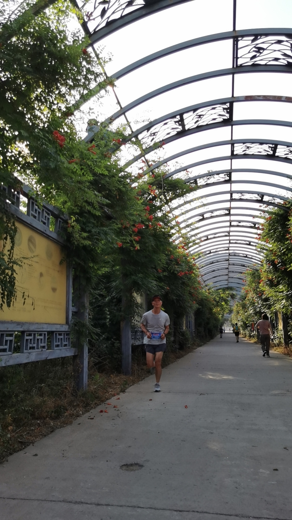 mmexport1717896469246