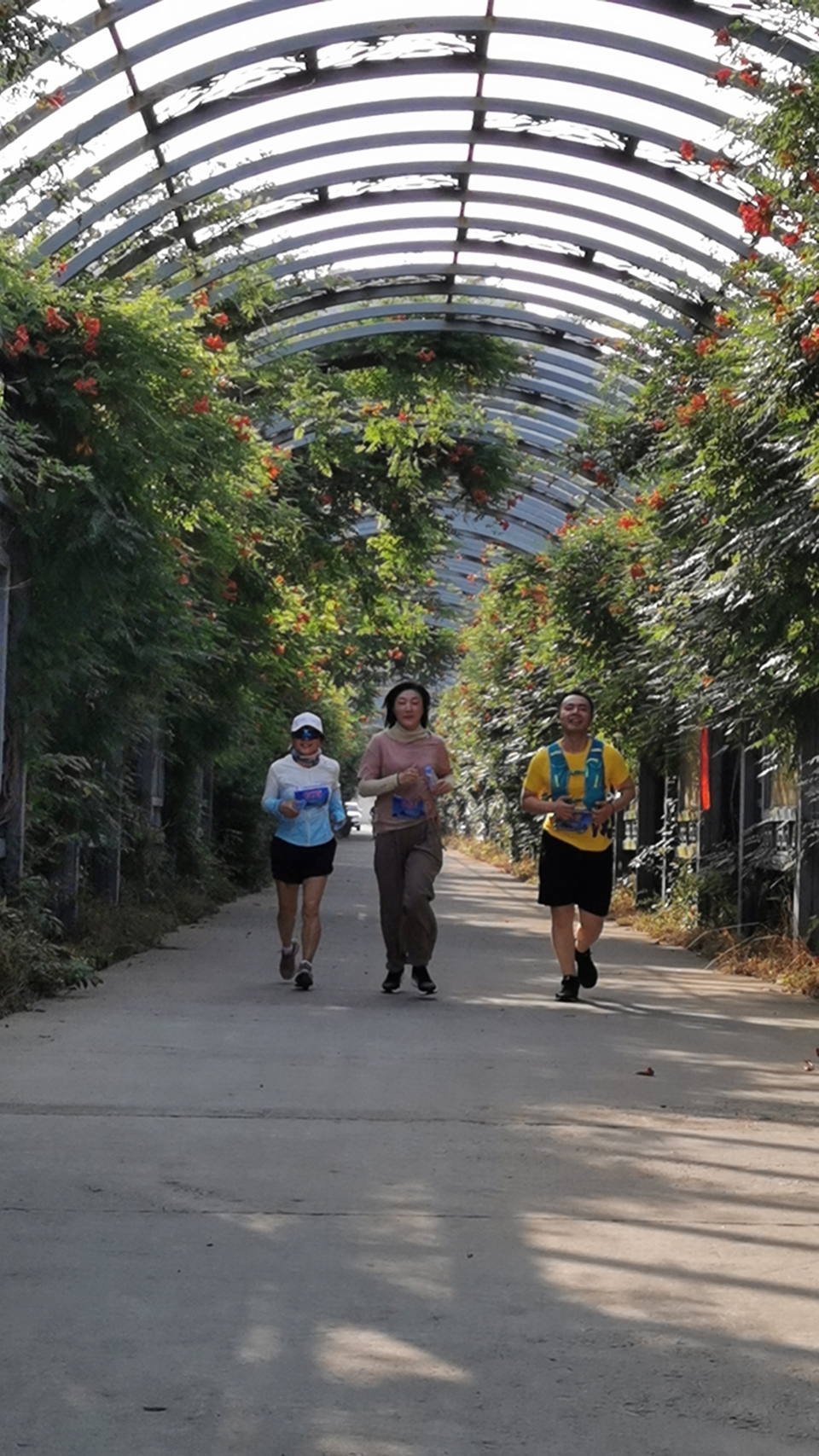 mmexport1717896627331