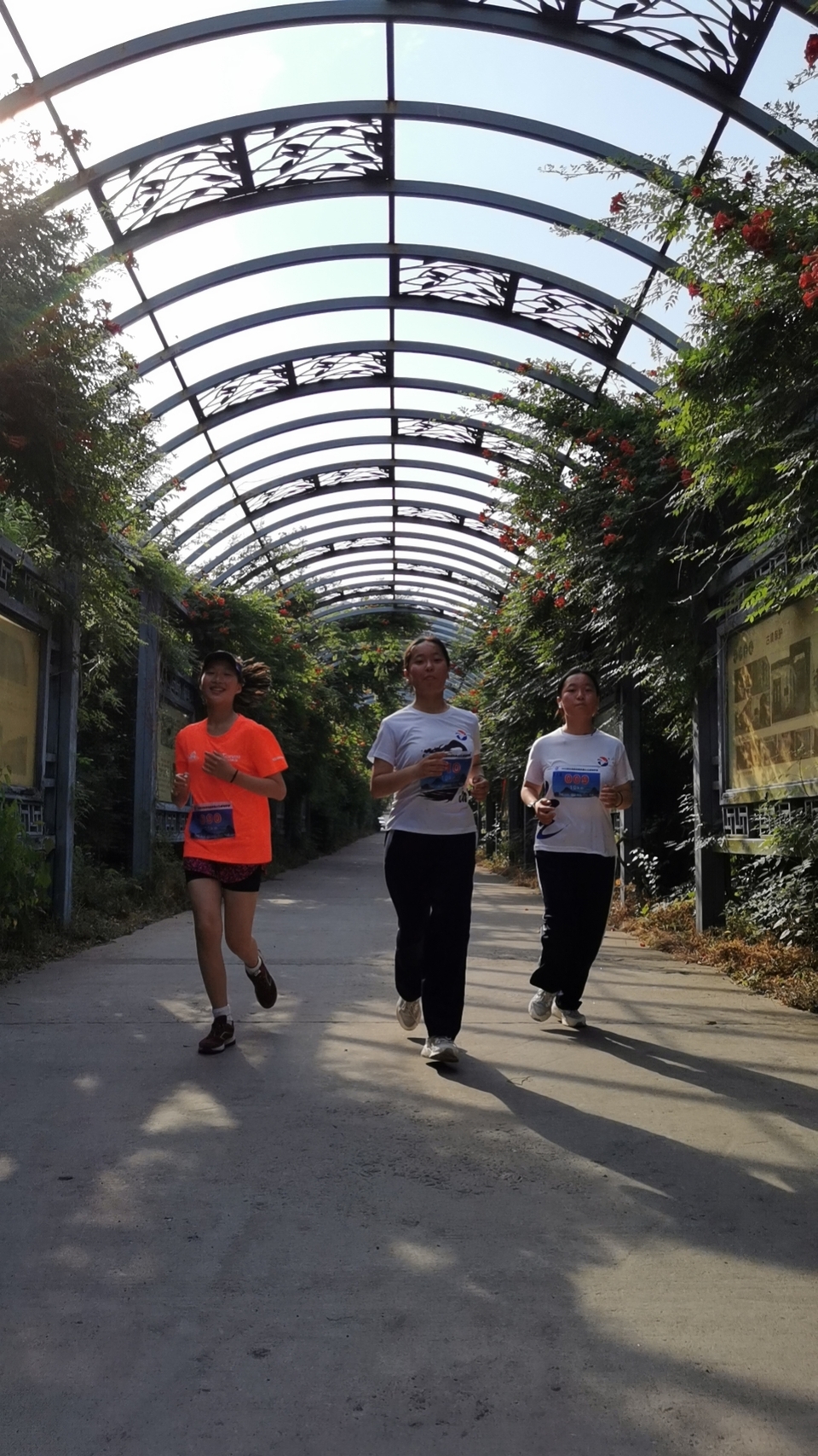 mmexport1717896641373