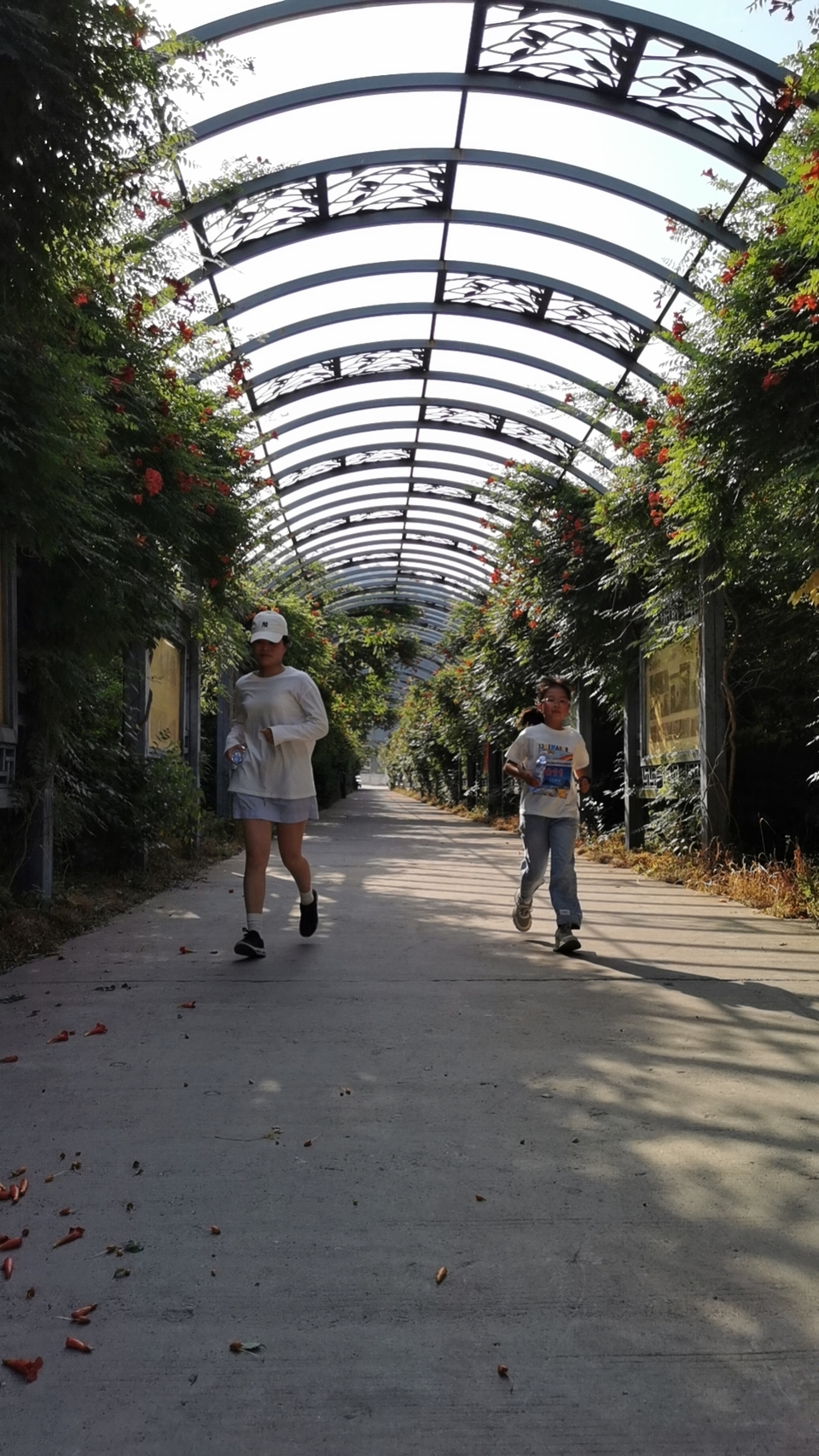 mmexport1717896666329