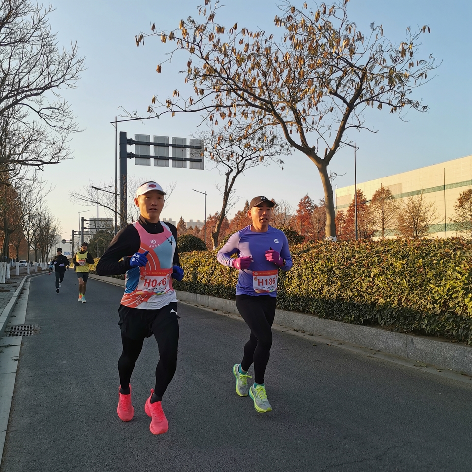 微信图片_20241229105744