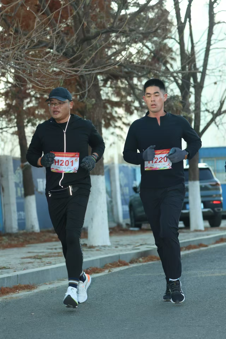 微信图片_20241229175114