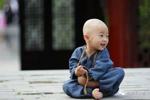 中国功夫——【少林功夫夏令营】