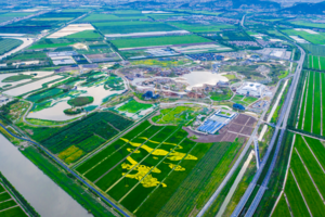 【延期至9月1】“连云港园博园”2024连云港第七届星空超马