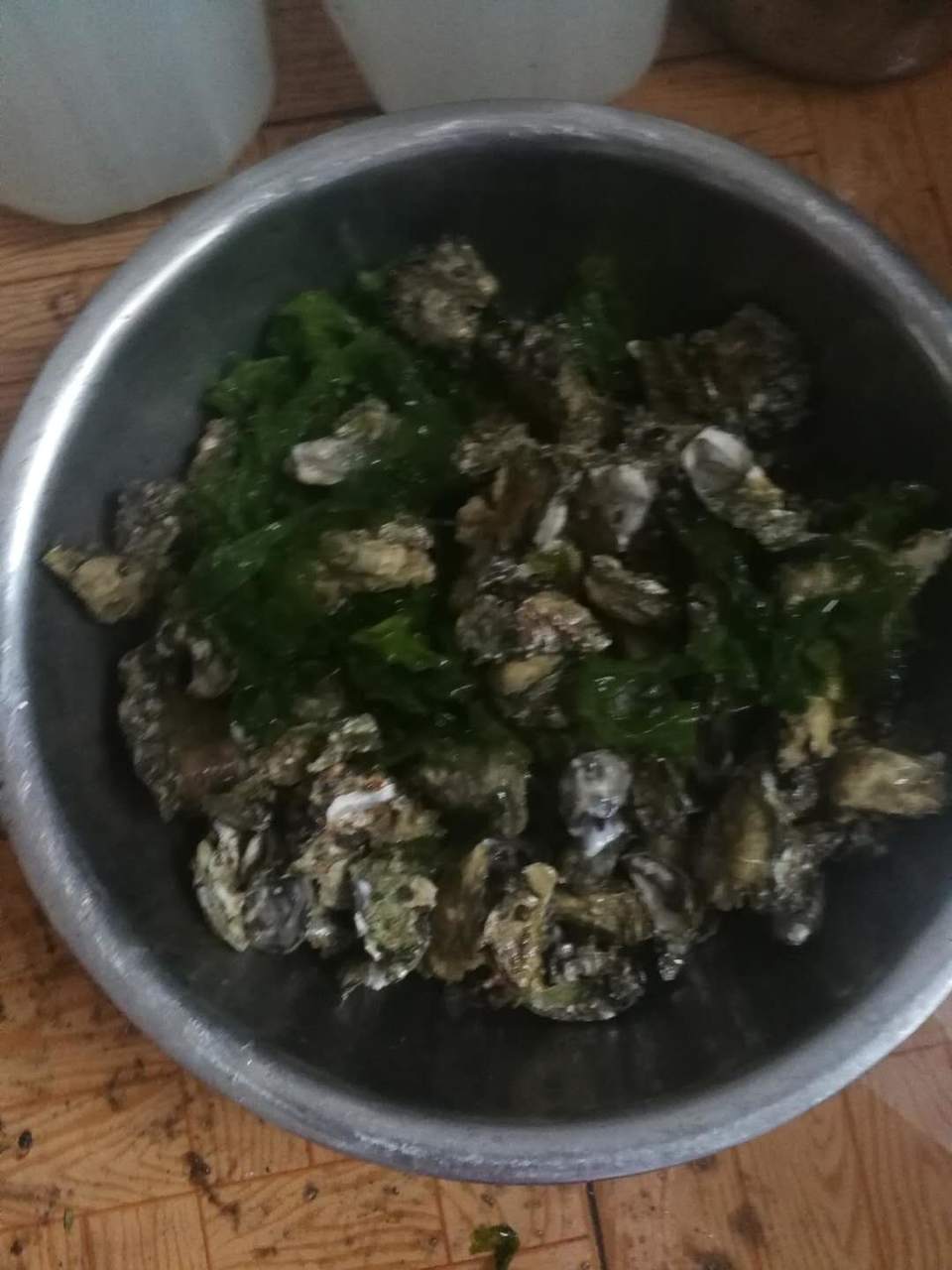 I2v44myjdqquYn34wh31dVHme-kupkimWGSOEt_whOatzdrn5QhnIiXVs1TQ297E