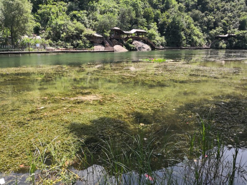 PIsaTtOvHun5_bUyi5FMJoxbMABn48YBnbt3gh431W18EcouSGaKdMAYVuNr-zic