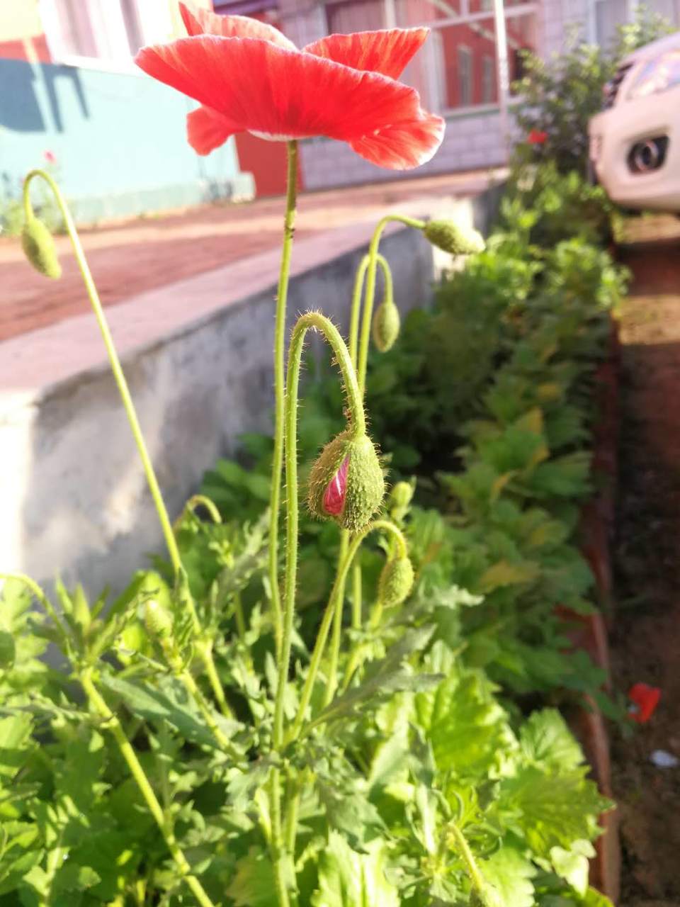 6P2AEjCohcf-QVE4mbXaY9foYzugINefwoTweeybnV3GdZq-ndA7tQGVlV0uFlRz