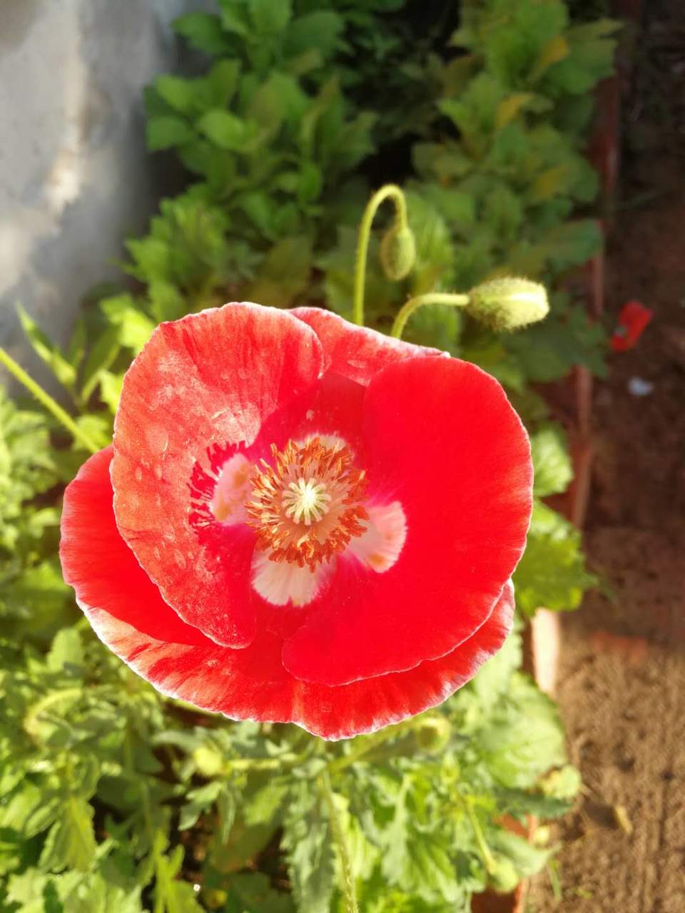 kZYI7-oJg8d5yfcv63P00646ACaQyLGeFFn05aUb70FWicqtr9YWRrtIUMgZ2HDo