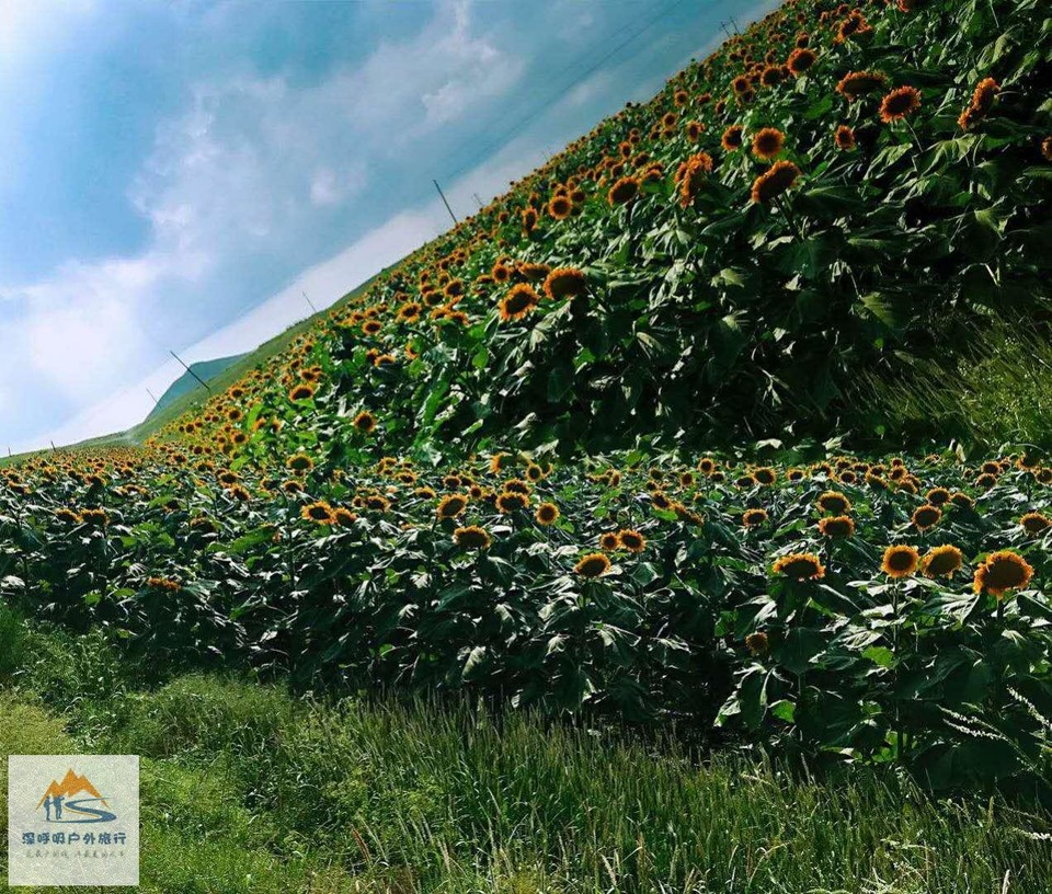 _VqMgvxJL_Ckc0raPG9zfACYG-QsjpLTX4dkvZul_BOTo-ktfBFOgnA4nKREQN1m