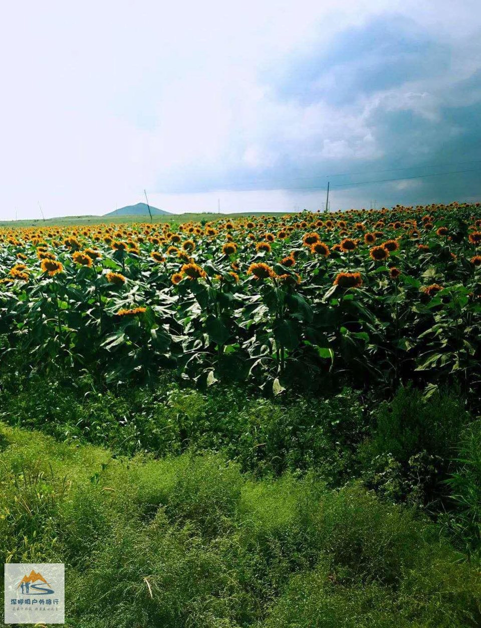 IfI91_d5rp-UZXZMXqbpEXu9z444km8EkmjGsWC7rKMtTn13ve2ZTDVFt9qTIH-s