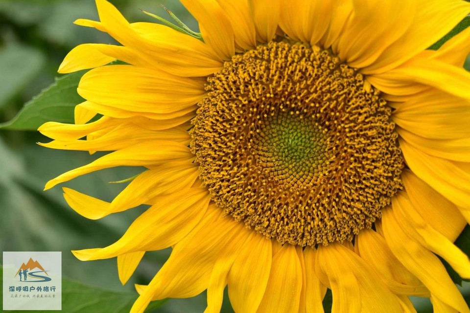 7GtlCHhFnXOyknE15v76GFXPyPh0jMRXGAwaY1JCCXSt9lLm-JSkoK-lltn5UZJL