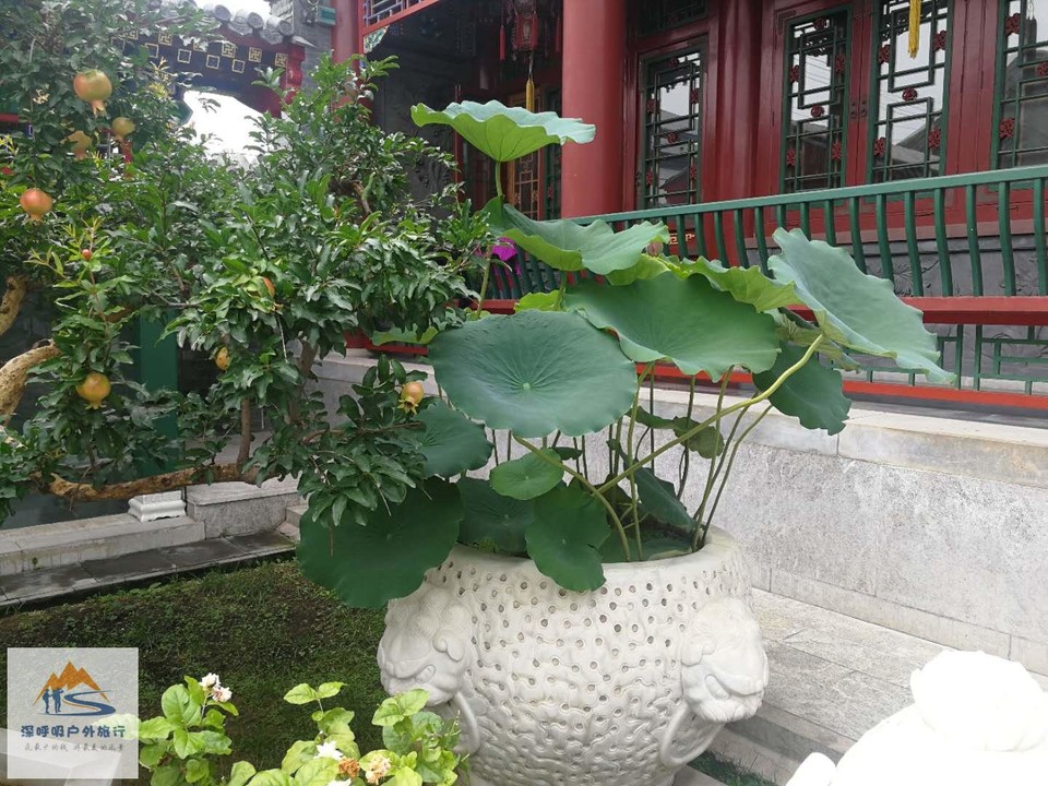 A_pQwNUCoK0cHY_AHmmSKvZ2Ethm8bO7CyAnP2Y-YkJ2WQQeKpBKXEDzuMSjdoOo