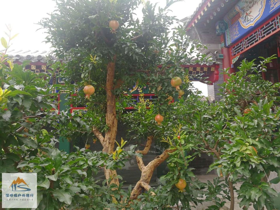 rfhd0usQd4reth11QTqNjoR7WeFlPGgeqpI7sX1lz97xAg-Hj4Uy2IA8Wekog6qR