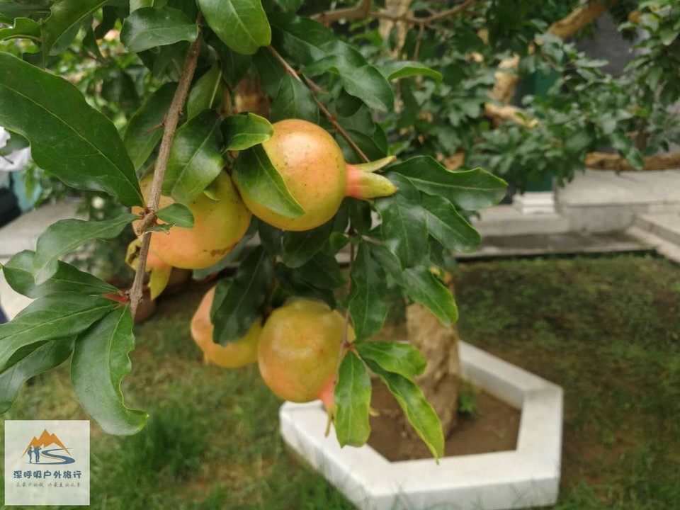 GFY8YUyjf7ewmS3Bt2N0OMuaM9N_euTXwcOa1LfK1ImwbPNzbTH90anlqZq8HlBK