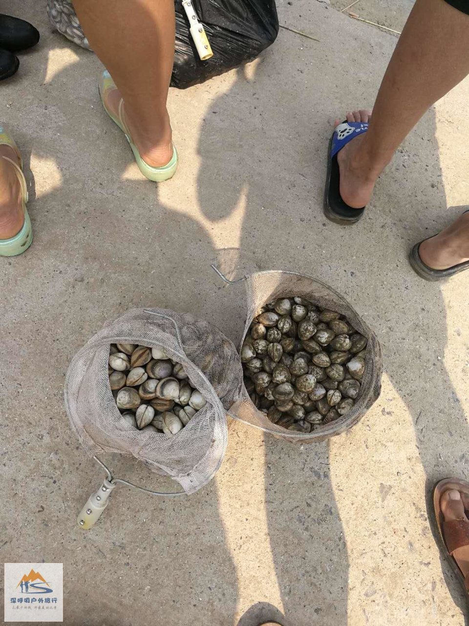 PCMX_jX5u050YIUO7ckRHqmu2qlu-lUWwX7n44BpARFaPAzzMIW1NjOA-pkyHFNq