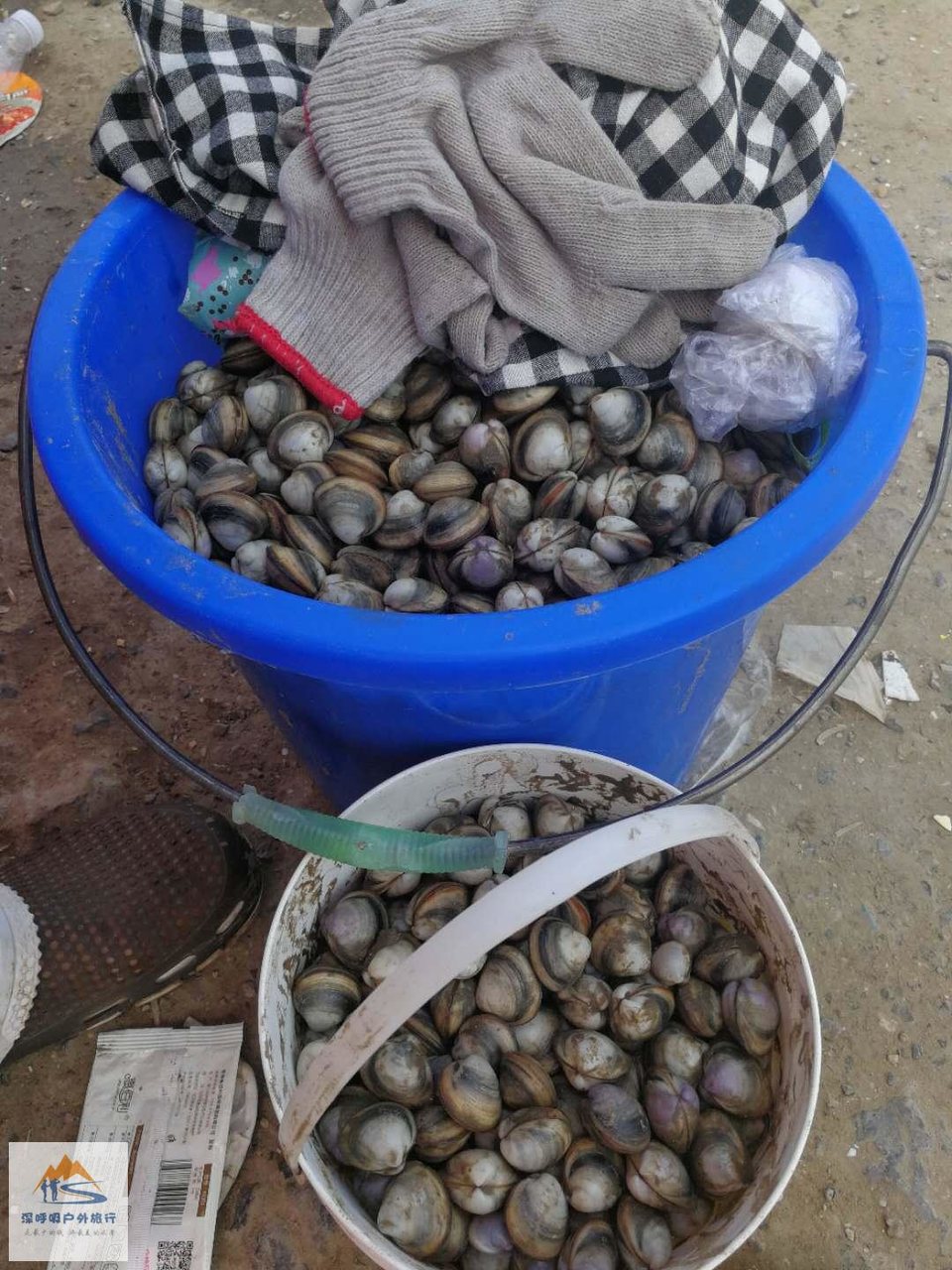 pesny0zpsKGzQ1WS2B088uiXWvdGDSodxIl8bcQ0FG3sn8q6q7EXrfj2ydG3lMvz