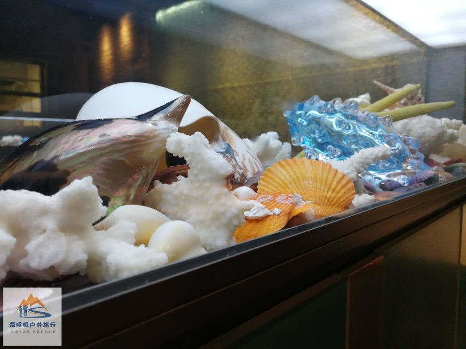 Xmuf2UqxWpn1z4coux5zQQGDYTgexOWkgvaFAsKRix05o0Hi4A08nJC0VYZAtVji