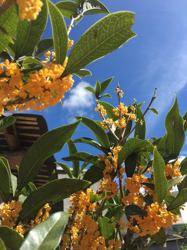 hqcY9XnoV47ords2-04hIYQdmJYIaV1WFJuq3jQ6xD8-a2DZuUKVGH_xw2uZZr5P