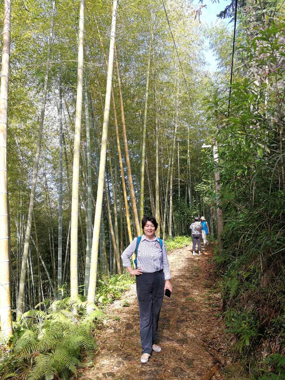 u-TEfufCFPhij1nHQLBCdlTDuRJxsJpwkd8aATpRlz9Hp3J1V4ma6PZGjd2rFBrD