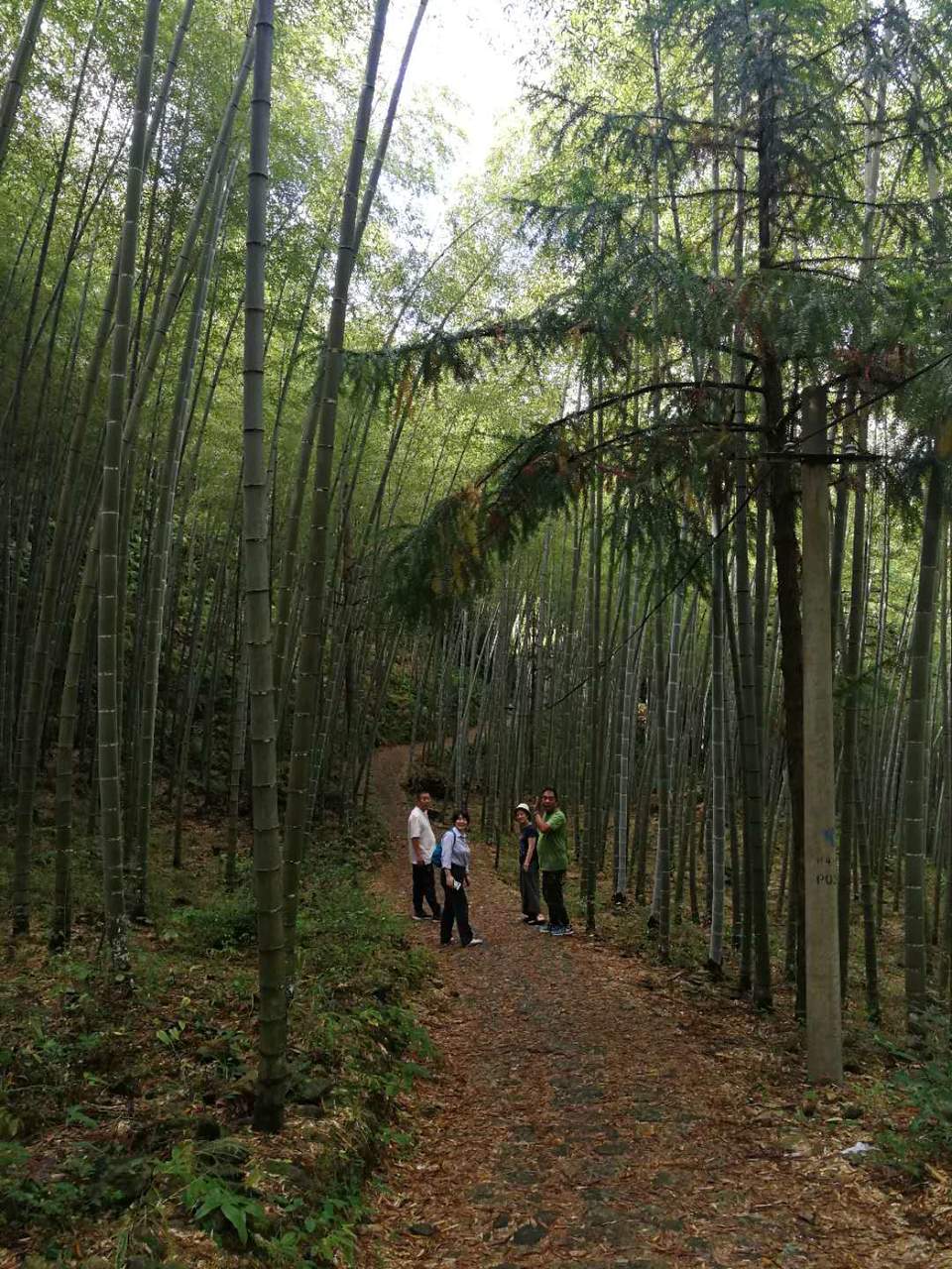 EF4X5F9DNoqHC9KJFhegAmnLtNJOqUX5YKXkcnArMLHi7G3GVXpIedfIwg50KtAH