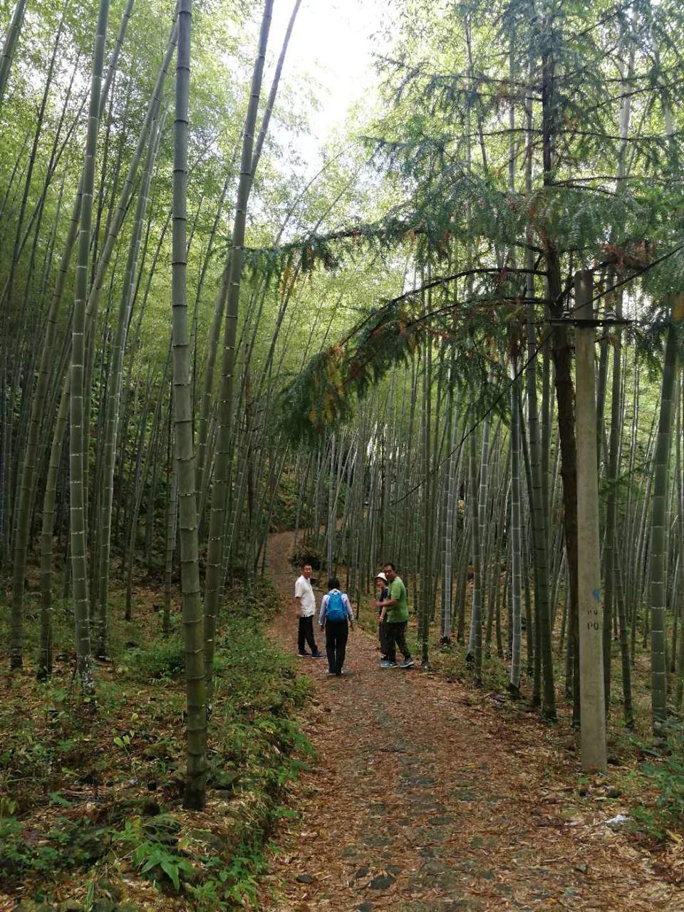 xLjf_nrs1D74l3v2CpIFiVuXSbpYU4YjfeOPfY1UyRoZBs5hTof5ZYU8GA1uOcwO