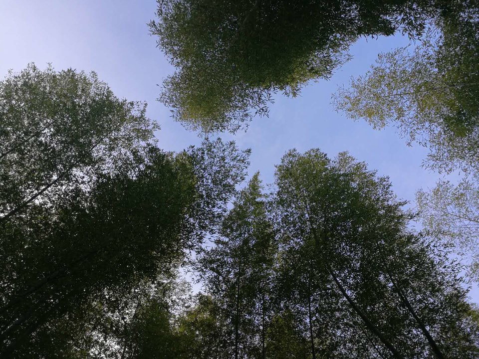 YjJvaNpABoY8Q28JjWH_avmf3DtmV9wL2jfgrnVKqFobf9DJmV5HTB_T411F_ccU