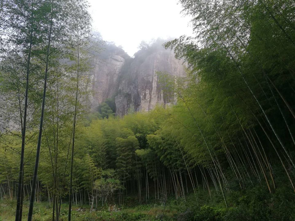 N9w72_49h79HP04gqe8R2WIJFH10WXSmKRkeXycdaai-g6gJz-EZfWSVhpwQ0Nbe