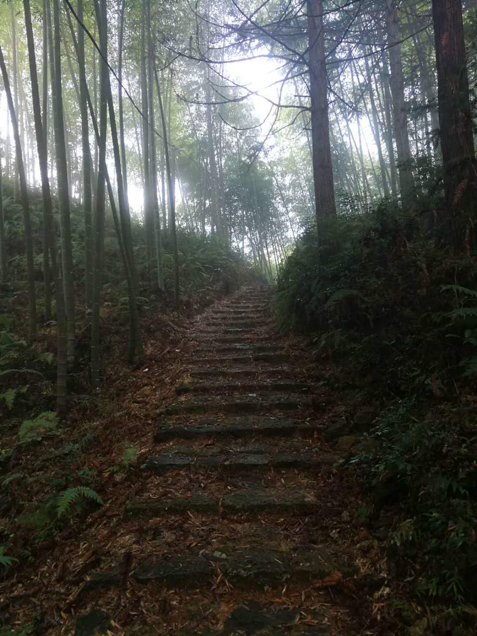 yAruItLtDmJPvrkfrmn5Q3Pq4TW_Npgj4EXVp_pCgEFHUFMLj0JlpypPHb8gOTlU