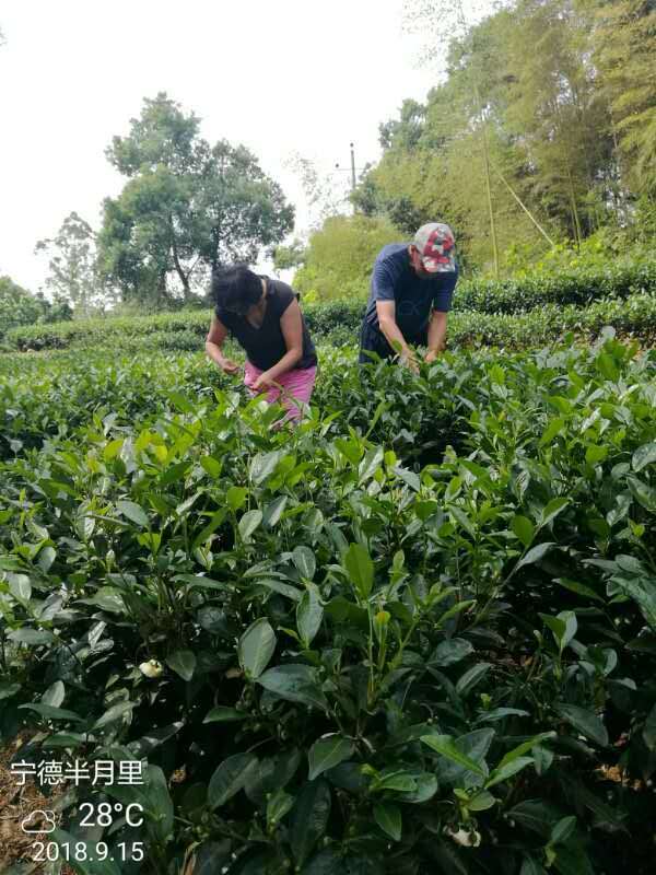 eSJTyBBLKrwUVp3ybXLVAsMlFoQS4EmHdh4xHcHEXboQBlvaNPm_X3BpLywPoQkE