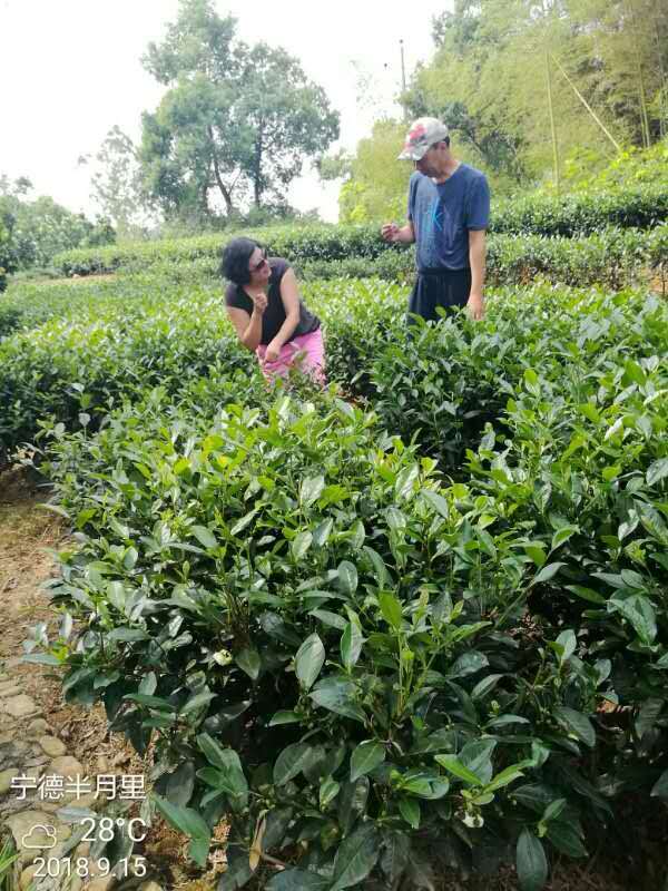 dzNPzdc2QLCw--kfr0FPIvj3TkE5YG1qX5pw10FhXgScr5FY_t8NJcST646blu2D