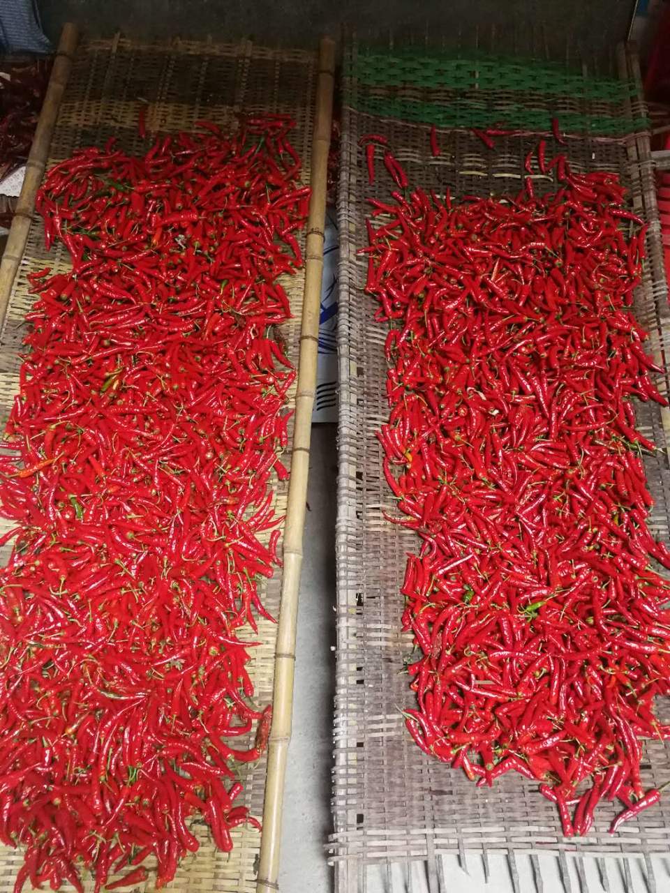 pEOKGV6L3VGVDCAT7CrXSNq90sZXzh8UheFNV8oPRcDYxhzSpFrtuqN9RoLjbf0-