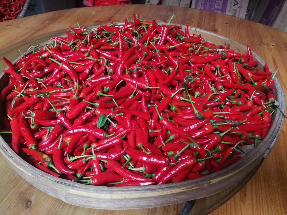 by8qWEb-qwZvmuH00ep5PdG_YCdpiL9vHULVeBUqOUo7P7BlNS-t9IvLXxfw9xc8