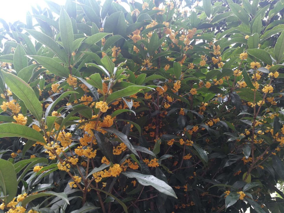 8K-j46925CGh7UvNYDSrHph9wqd1lyLgAGEXCSZfGCX89EZCI0I44H6YHX3o055Y