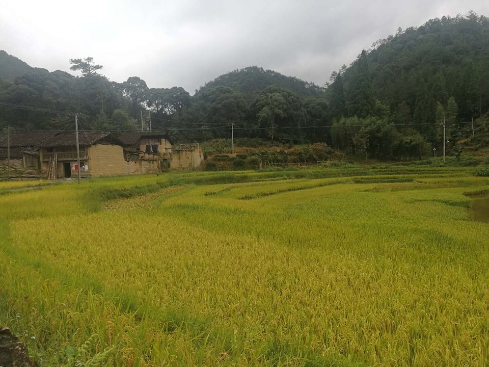 GKgonDGeg8B-JONCzdmYrkejcneTXFtDXDj5lVupoa3vFkr65TJBmz1Ny4-L-iMZ