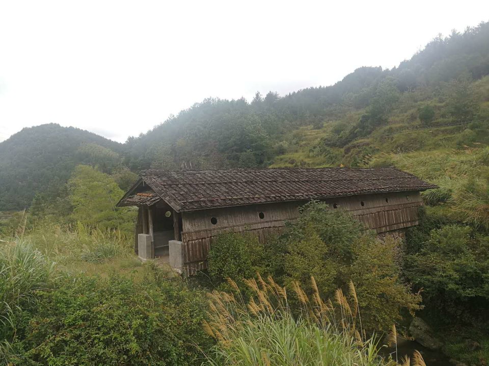 gqsO0oIzL8y7AWsGhLUIpxCAfC9ZLvUTjM4sFAzWPjH60_UchA4XX4hfLAwCyOTB