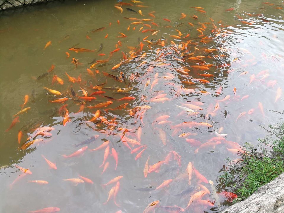 pdJm6XZbYvl9CjZWPEinxQE23uaMTT6ojl4UxA_fN0i8wxkvBVdZ8KmS2H9R_epx