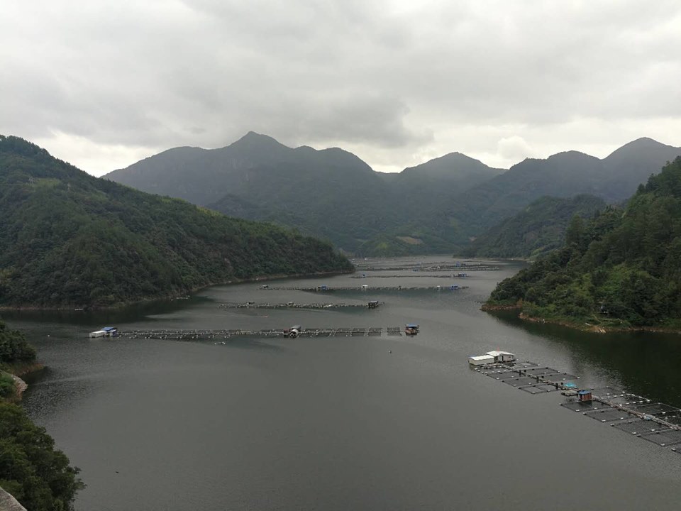 r96my4A64Q2ouKZwvIfrWzGBVWioW_CqoQSlhEm57k6_7K2qog1kV7qtBeklBVro