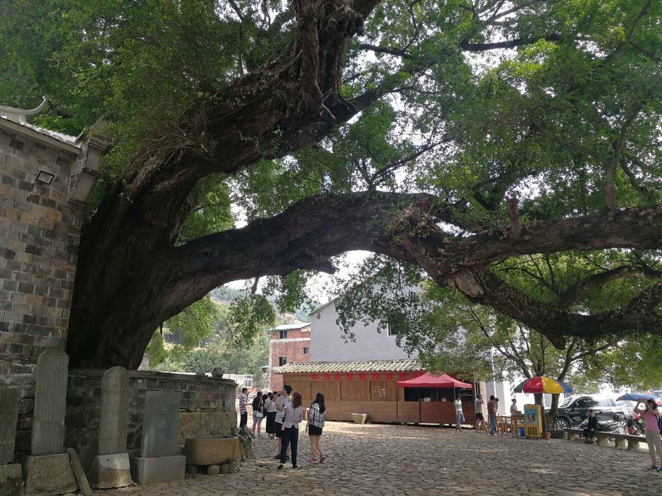 3bEHYrCuQ9xyaHYxk4dbh4NpV3D4oD2j4Pe-nBpUajwQziHxIY8pIcU0Px2QcWG3